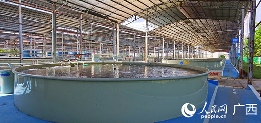 畜牧漁業(yè)飼料銷售 市場(chǎng)現(xiàn)狀與未來(lái)展望