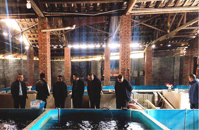 懷化市畜牧水產(chǎn)事務(wù)中心調(diào)研芷江漁業(yè)產(chǎn)業(yè)鏈發(fā)展，探索汽車裝飾用品跨界融合新機(jī)遇